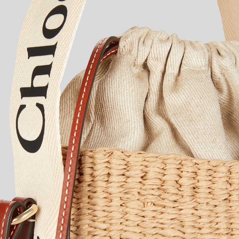 CHLOE Small Woody Basket In Natural Fibers White CHC22SS381G55101